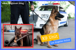 K9 Unit - The Canine Heroes of the LAPD